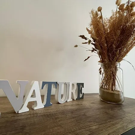 Apartment Au Coeur Du Marche, Confort Avec Wifi, Centre-ville Royan