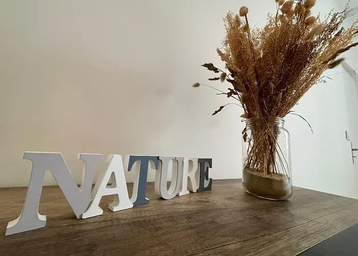 Appartement Au Coeur Du Marche, Confort Avec Wifi, Centre-ville Royan