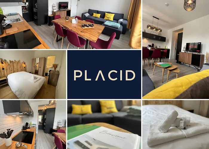 Appartement Au Coeur Du Marche, Confort Avec Wifi, Centre-ville Royan